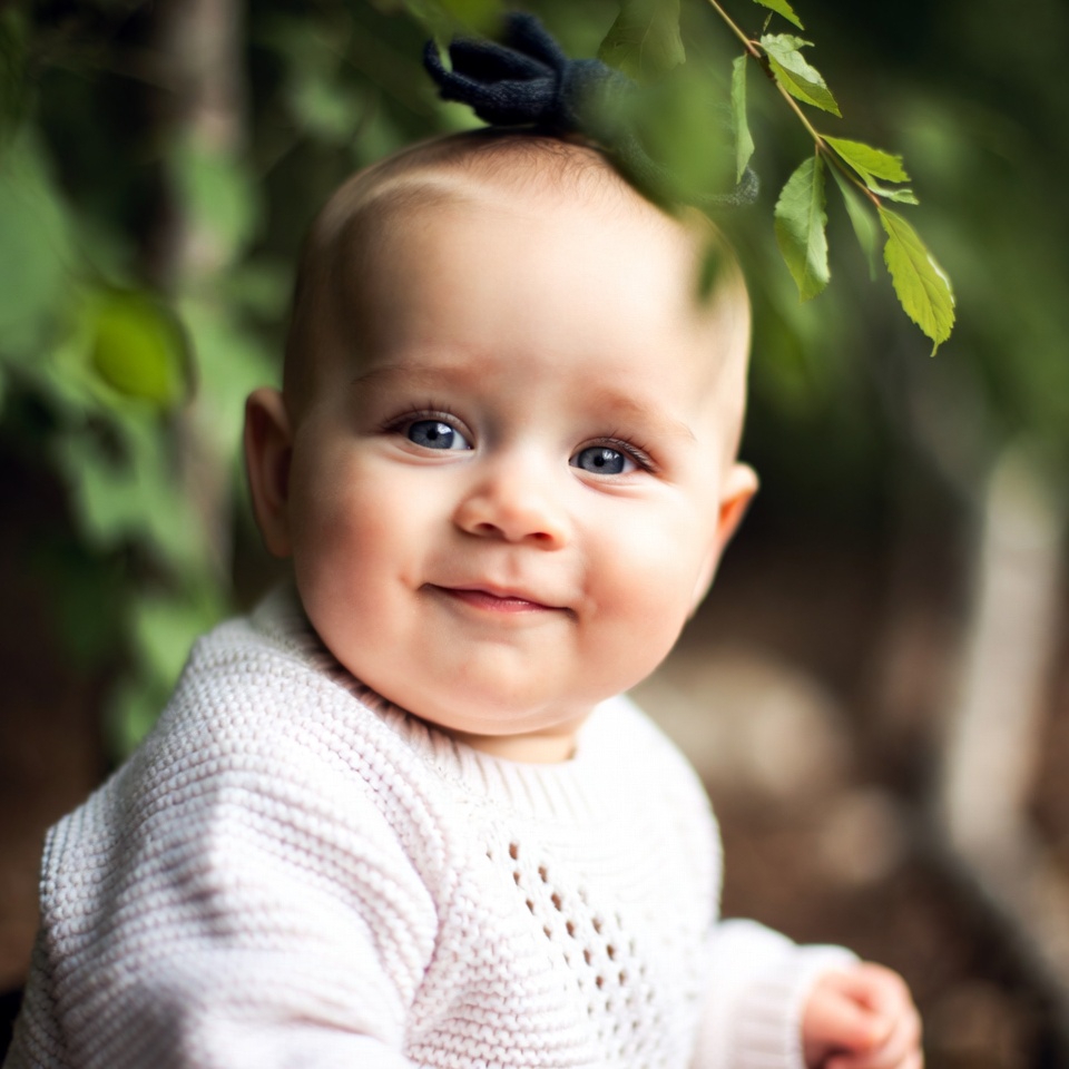 Little Lion King - Před